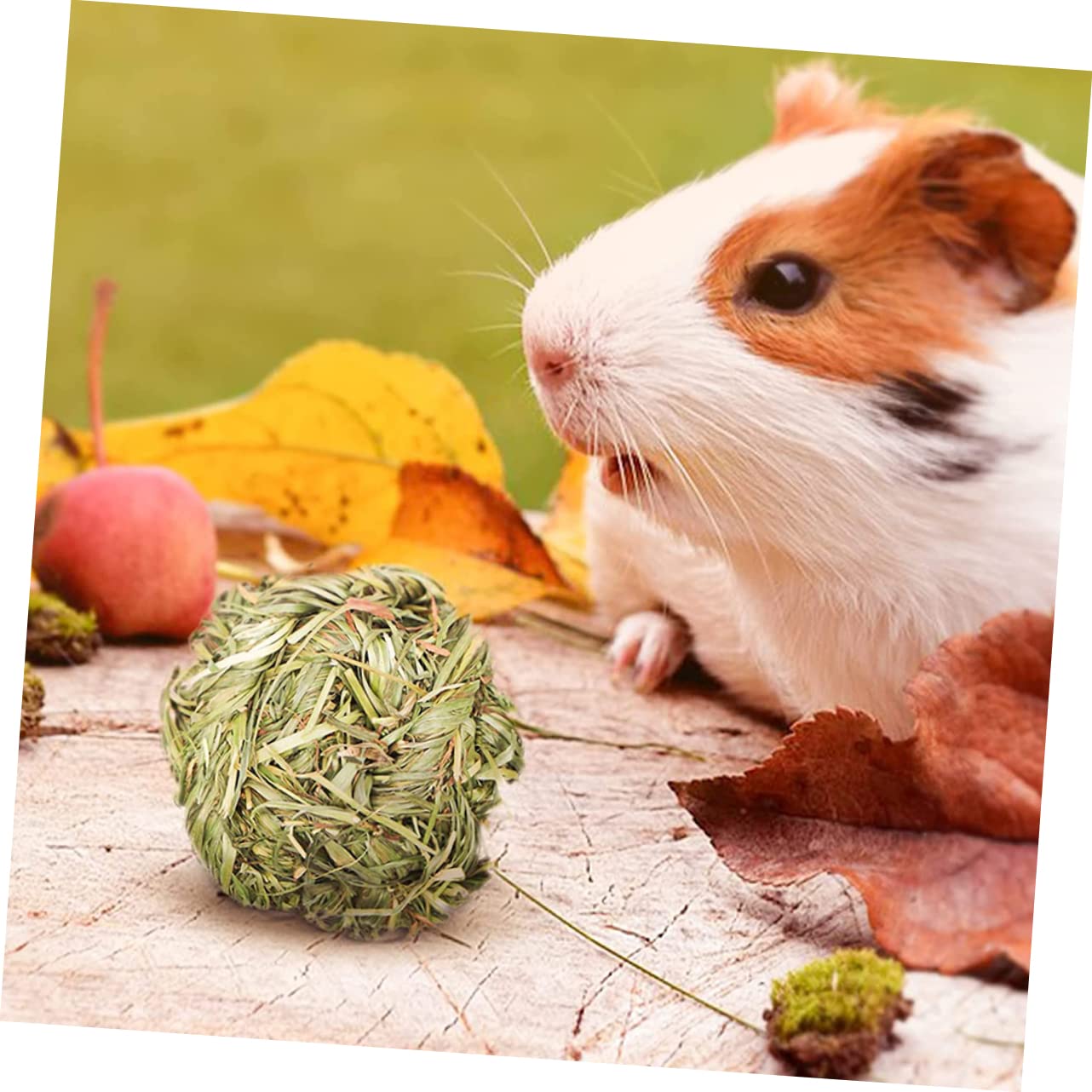 SUPVOX 27pièces Jouets à Mâcher pour Rongeurs Accessoires pour Chinchilla Et Hamster Compl Jeux Friandises Molar Anneaux