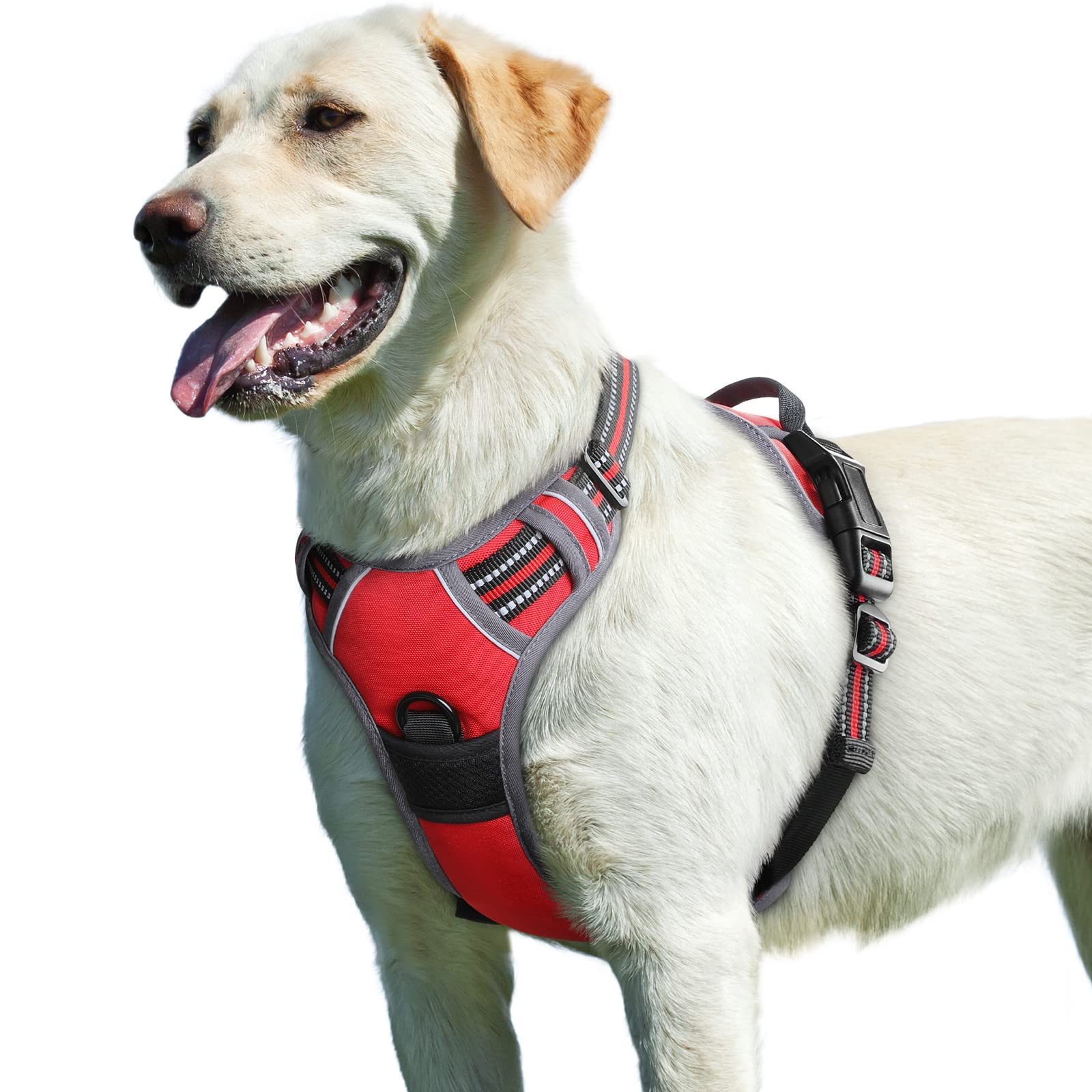 Eagloo Pettorina Cane Taglia Grande, Pettorina ad h Antifuga, Imbracatura per Cani Anti Tiro con Doppio Gancio, Imbracatura Robusto e Regolabile per Addestramento Passeggiate, L, Rossa