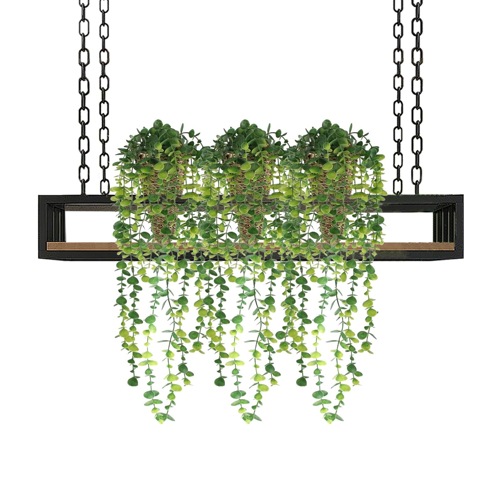 Support de fleurs créatif suspendu pour optimiser les petits espaces