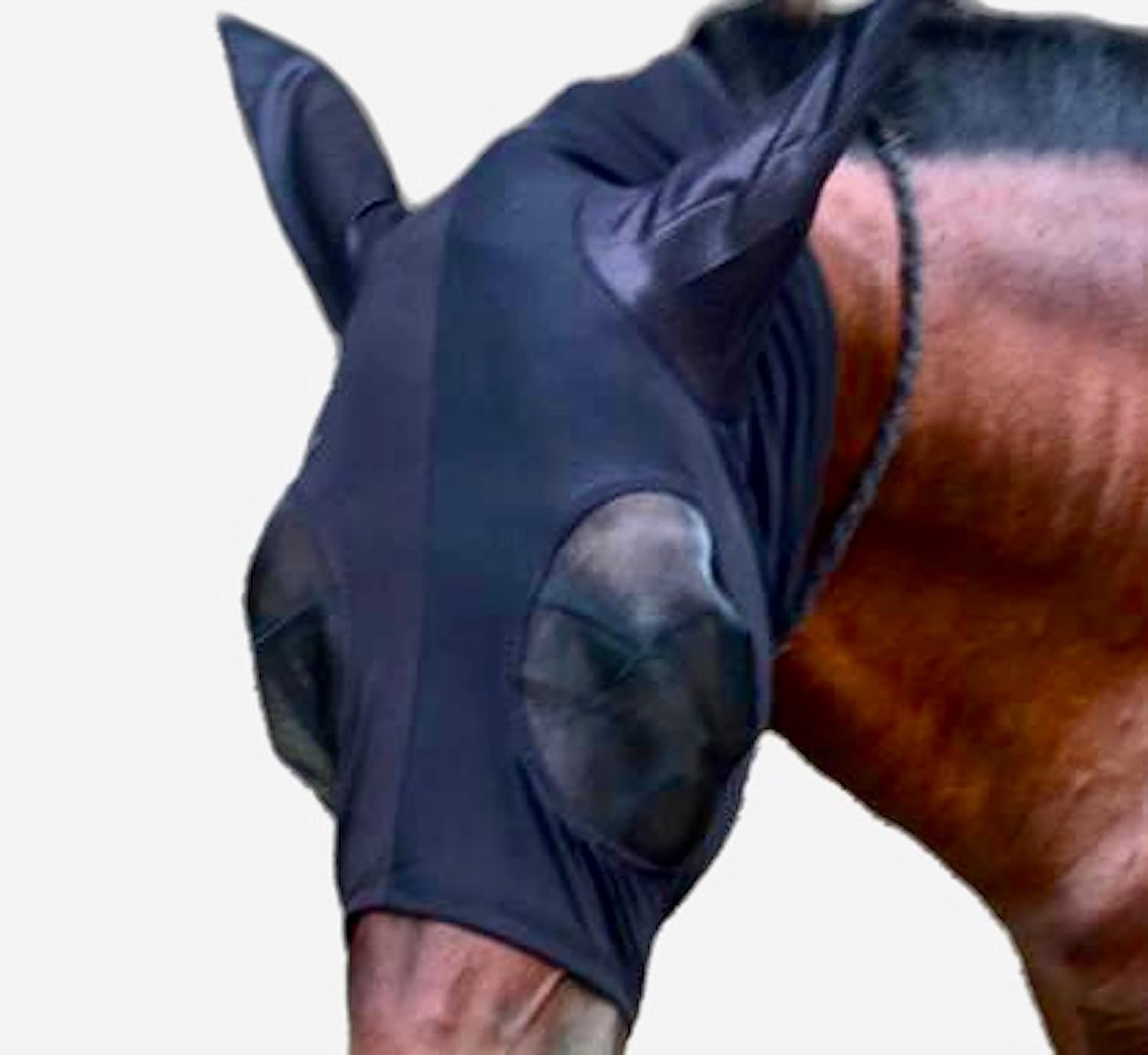 Majestic Ally Pack of 2 Lycra Horse Fly Mask with Nylon Mesh Eyes and Ears - Durable, Comfort Elasticity Fly Mask with Ears (Black and Turquoise) : Pet Supplies