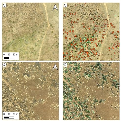 Ep. 544 - Helping Move the Needle on Sagebrush Restoration Podcast Por arte de portada