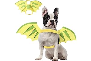 Dragon Wings for Dogs, Halloween Dog & Cat Wings Costume