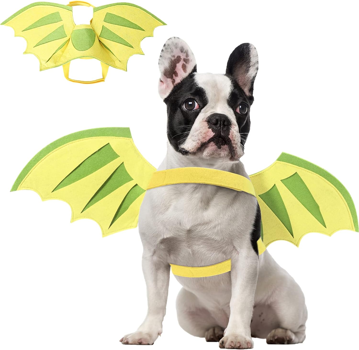 Dragon Wings for Dogs Costume, Pet Dinosaur Wings for Small Medium Large Puppy Clothes Outfit, Cat Costume for Halloween Christmas Birthday Party Photo Props Dress up Accessories