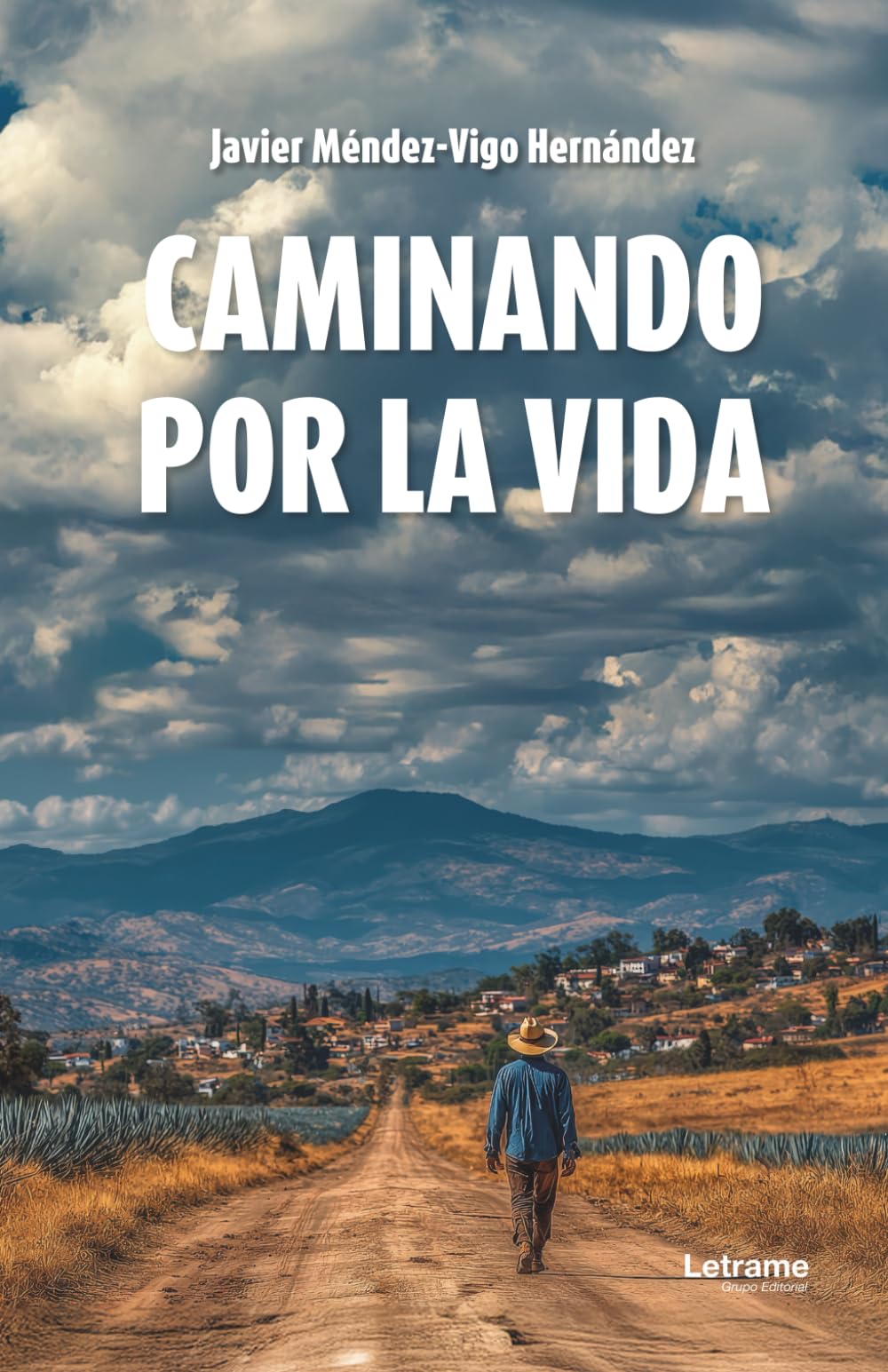 Caminando por la vida: 1 (No ficción)