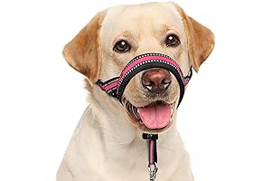 The Gentle Leader: BARKLESS Soft Dog Head Collar