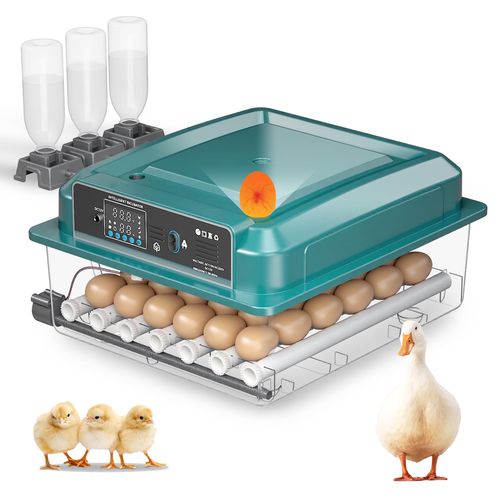 Incubatrice completamente automatica per 36 uova con regolazione della temperatura e rotazione automatica, 4 modalità automatiche, incubatrice per polli, anatre, oche, quaglie, vista a 360° (Verde)