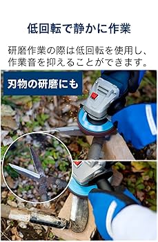 Amazon | Bosch Professional(ボッシュ) 100mm ディスク