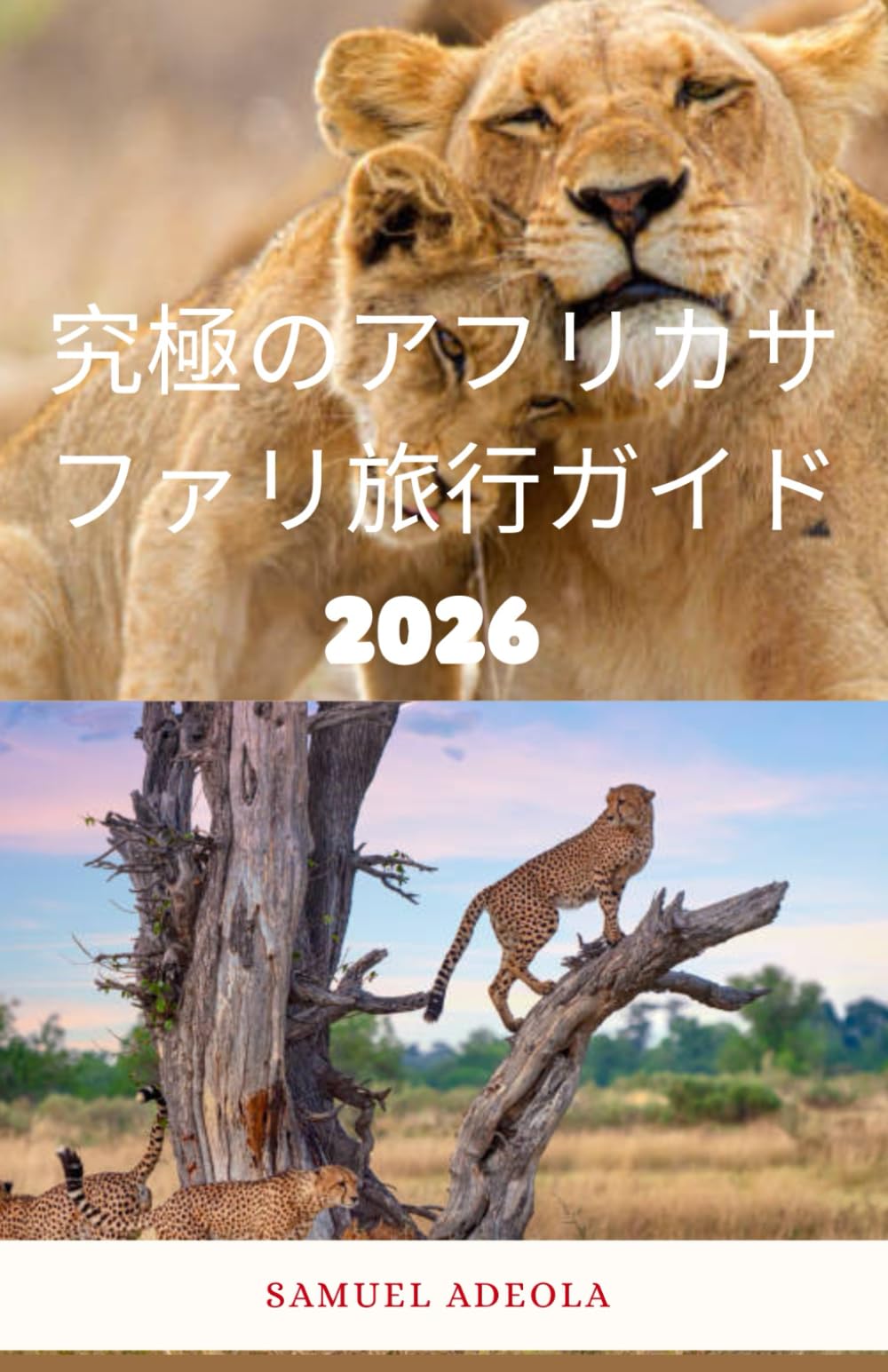 究極のアフリカサファリ旅行ガイド 2026: 完璧なサファリ旅行を計画するために必要なこと、野生動物、費用、ロッジ、安全性、専門家の旅程などすべて