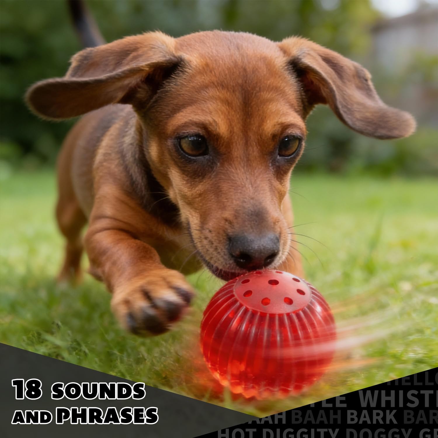 Pet Qwerks Blinky Babble Ball - Juguete Interactivo para Masticar para Perros, Mediano