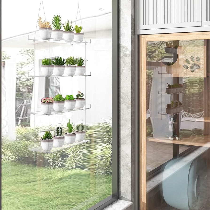 kuroyagiさん　オーダー品　植物棚 楽天市場】セミオーダー植物棚 アガベラック 塊根ラック 育成