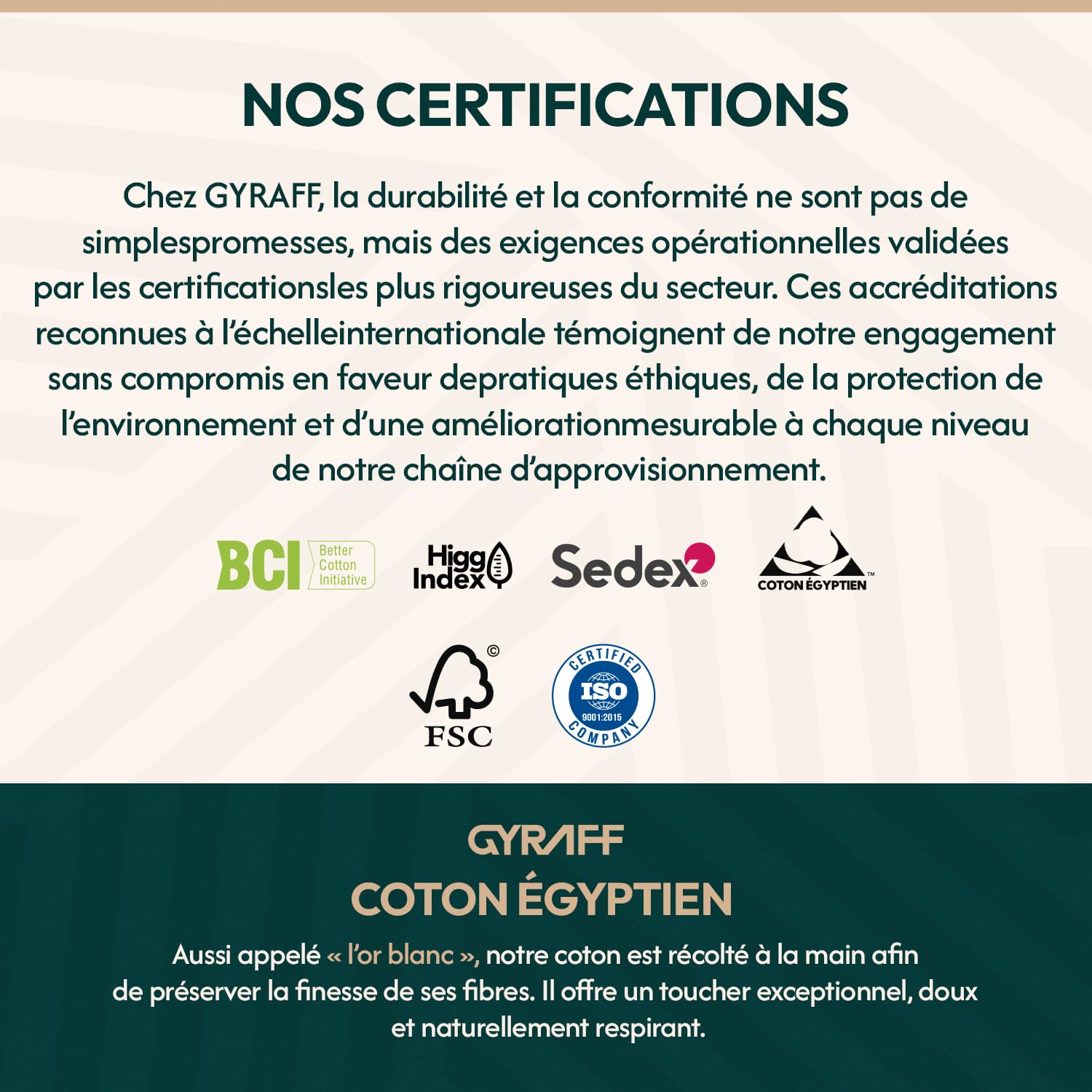 Chaussettes invisibles Premium en coton égyptien | Lot de 6 | Socquettes basses Antidéparantes | Anti transpiration | Douces & résistantes | Homme Femme | 35-38, 39-42, 43-46 | Blanches Noires