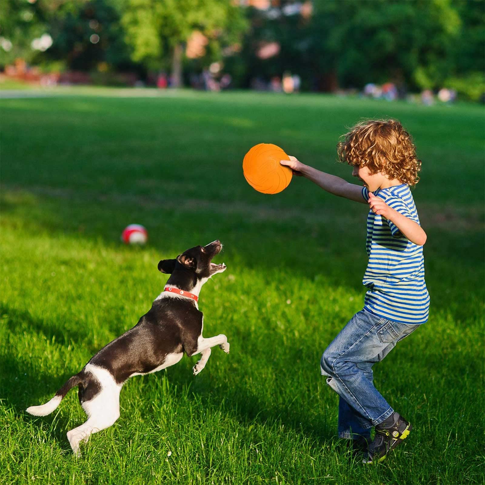 Frisbee dla psów, 3 sztuki frisbee dla psów, gumowe frisbee, idealne do treningu psów, rzucania, łapania i zabawy