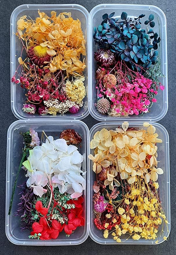 MSGH Dried Flowers for Resin Art - Natural Dry Flowers for Decoration, Candle Making, Soap Making, Nail Art & DIY(Assorted) (01)-image-25