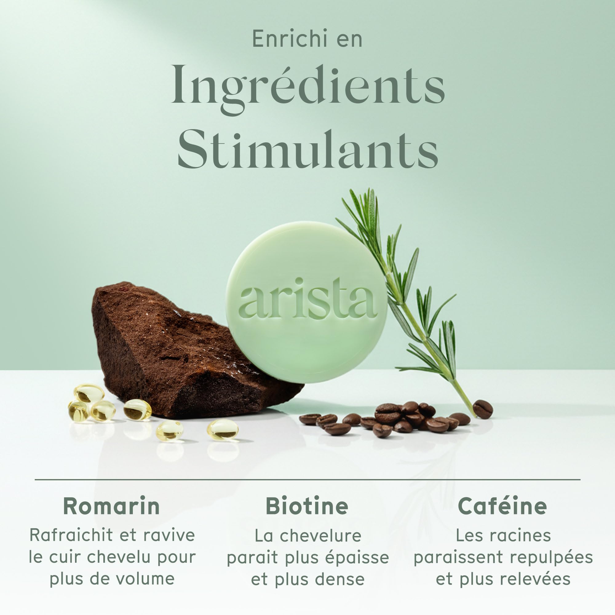 Arista Shampoing Solide Romarin & Biotine, Shampoing Volume Cheveux Fins et Plats, Apporte Volume et Légèreté, Favorise la Croissance, Sans Paraben, Sans Silicone, Sans Sulfate, Vegan (80 g)