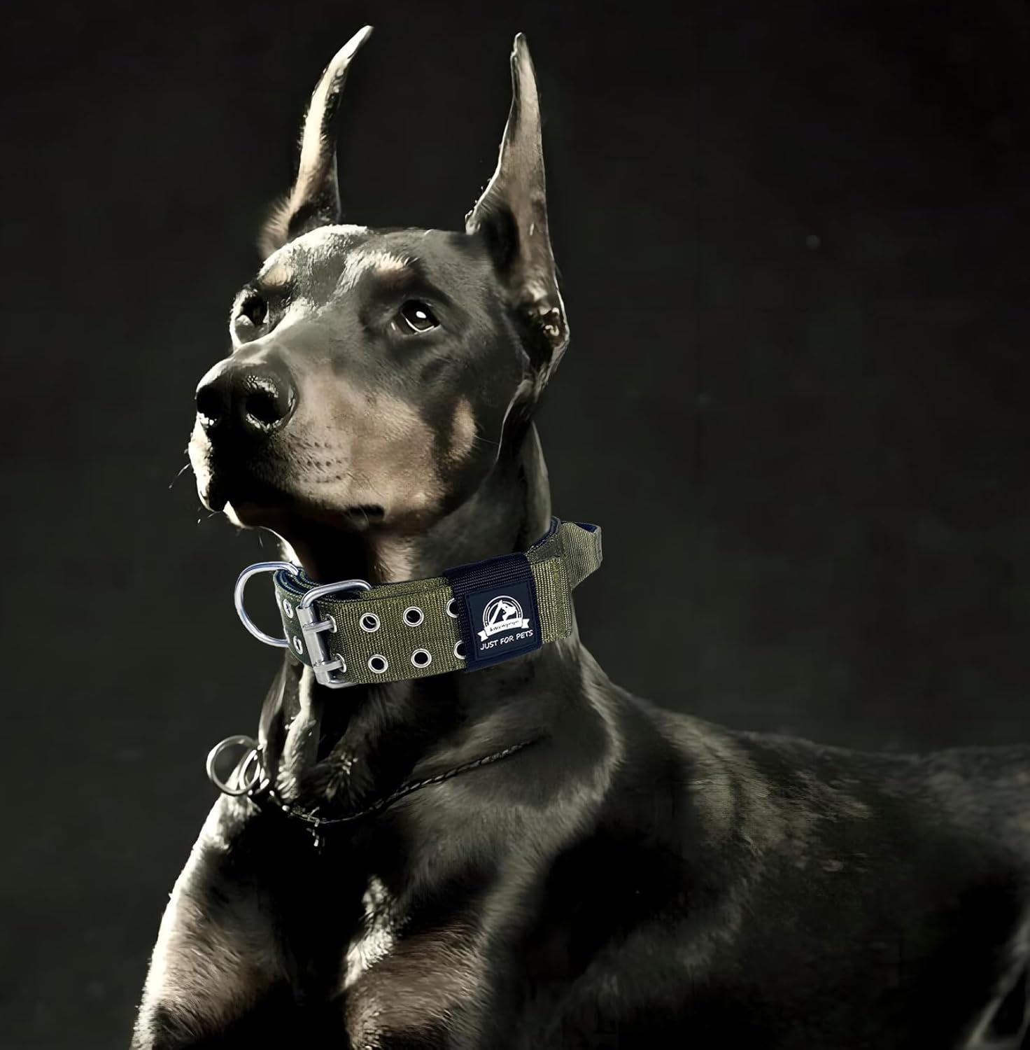 Heavy Duty Dog Collar for Large Dogs, Tactical Military Training Dog Collar with Handle,Thick Strong and Durable (17''-22'', Army Green)