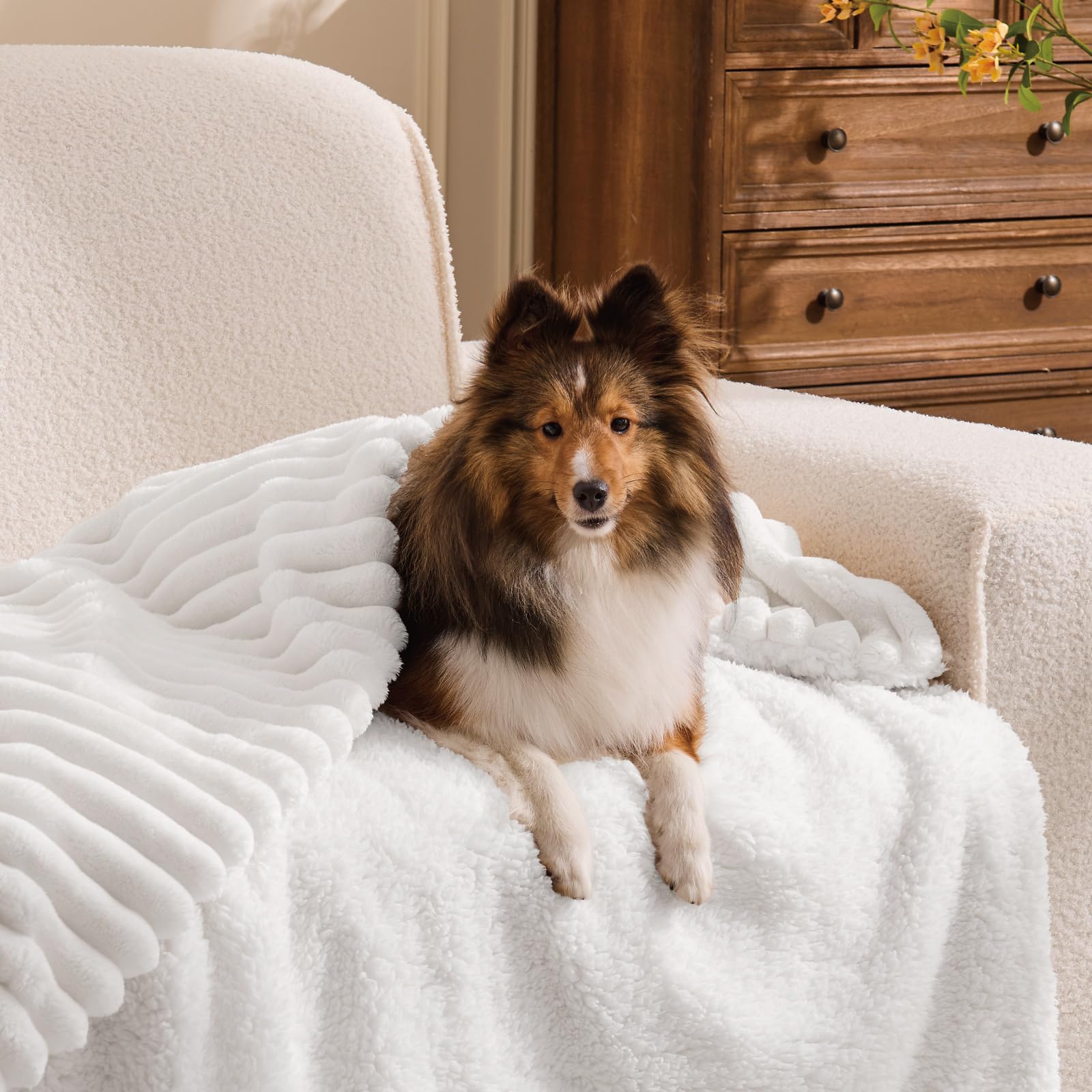 Infiixso Sherpa Throw Blanket for Couch - Striped Flannel Fleece