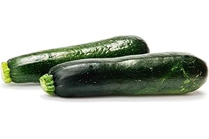 Zucchini Squash - A Culinary Delight!