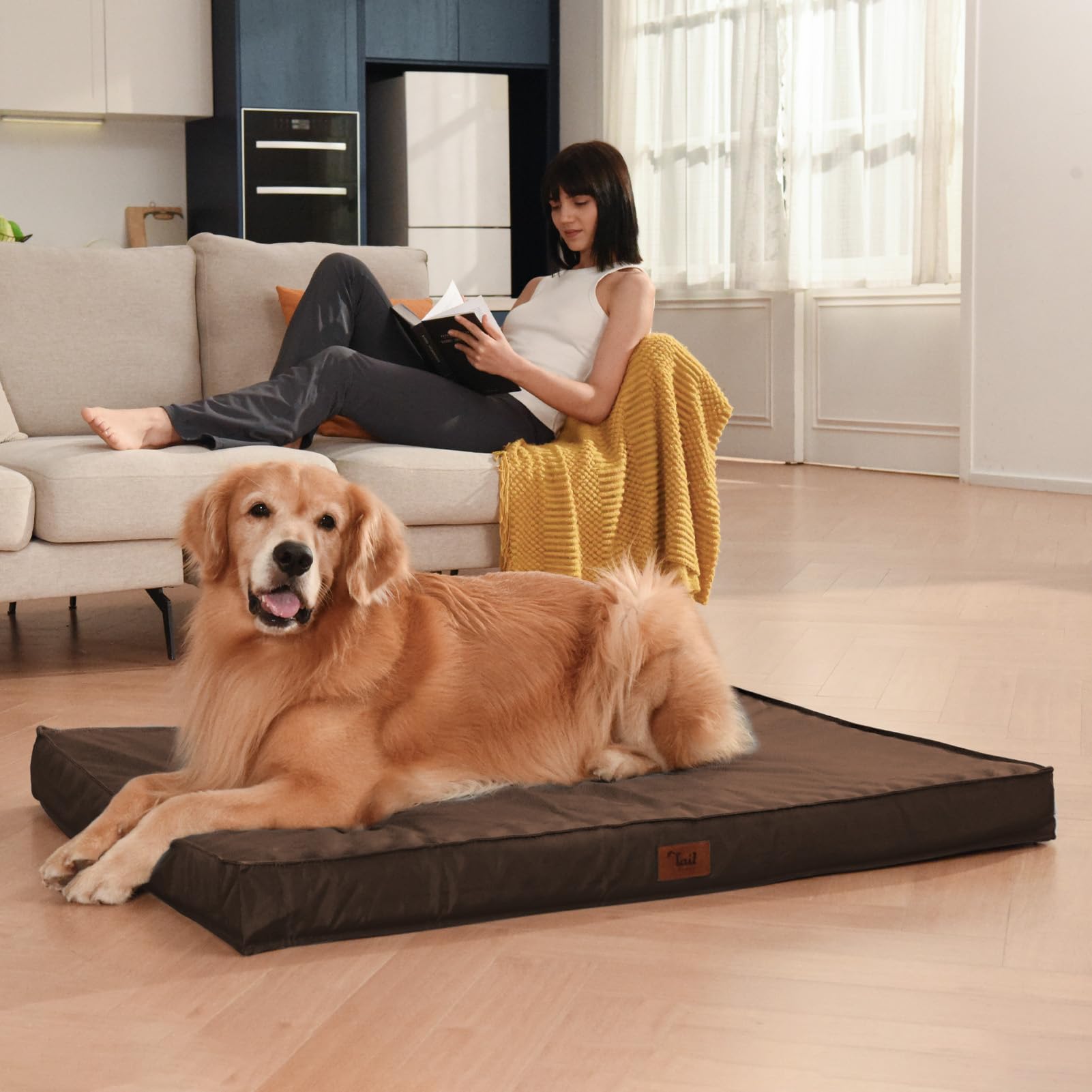 Outdoor Hundebett Wasserdicht & Orthopädisch – Für Große Hunde | Mit Kühlendem Bezug & Abnehmbarer Hülle | Allwetter
