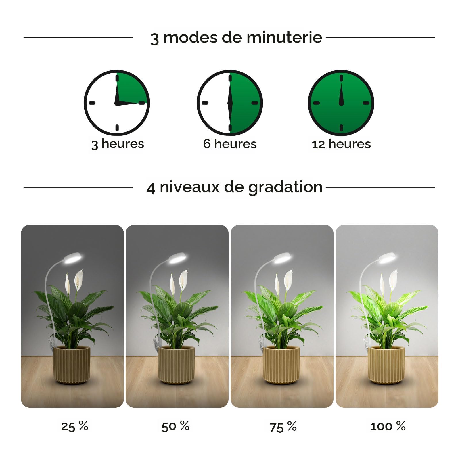SANSI Lampe Horticole LED 300W Équivalent – Spectre Complet + Minuterie 4/8/12H, 2 Ampoules E27 Remplaçables Pour Plantes D'Intérieur, Croissance & Germination