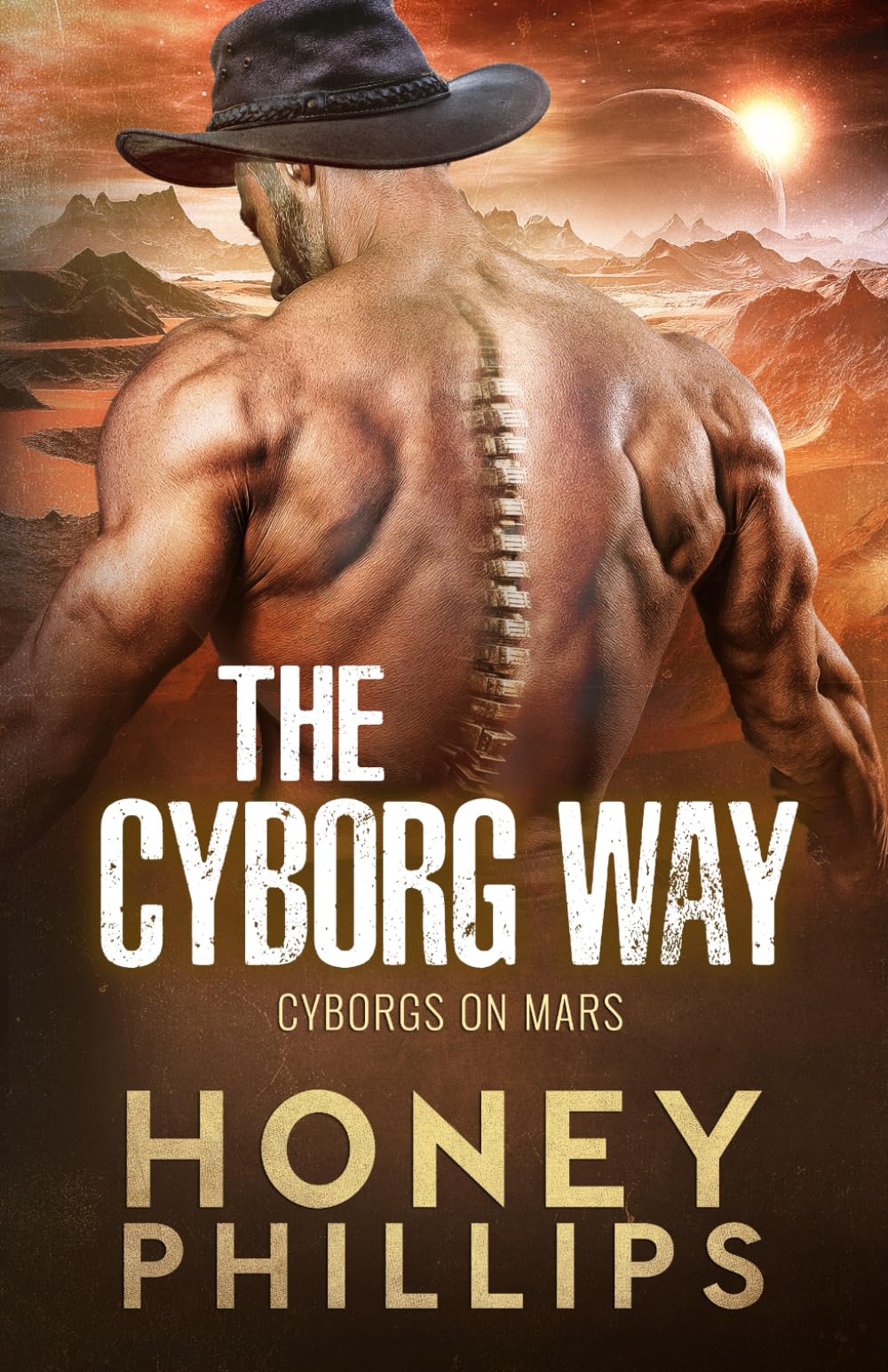 The Cyborg Way (Cyborgs on Mars)