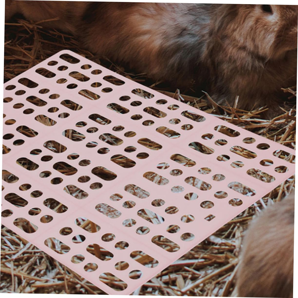 Pack Bodenmatte für Kaninchenkäfige aus Abs Kleintiermatten mit Pfotenschutz Pflegeleicht Passend für Hasenstall Zubehör Draußen 6 Stück