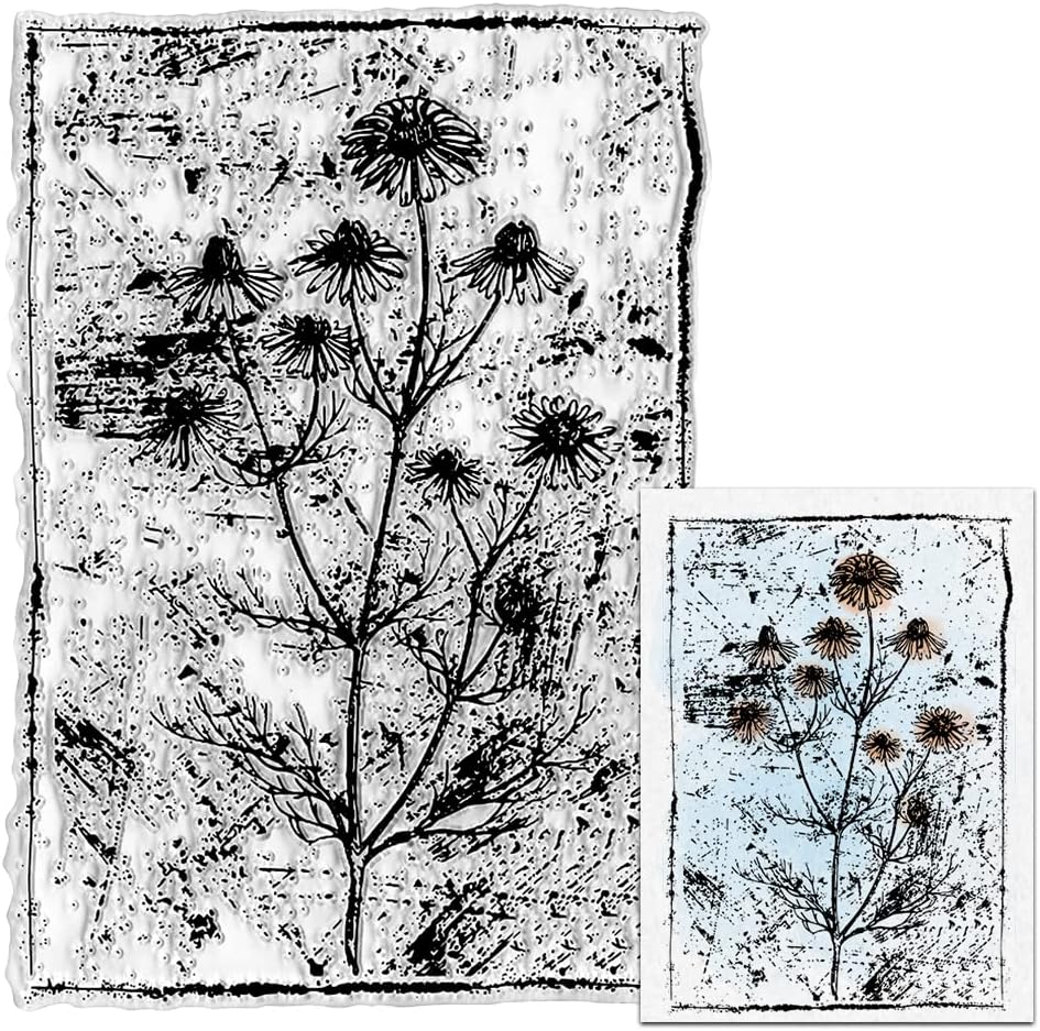 Amazon.com: Daisy Flower Background Clear Stamps for Card Making ...