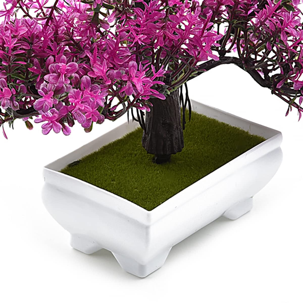 Mini dennenboom in pot voor €3,99