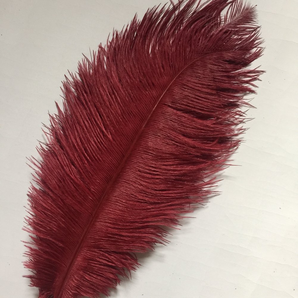 Image secondaire de Sowder Lot de 10 plumes d’autruche pour décoration d'intérieur, mariage 30 à 35 cm