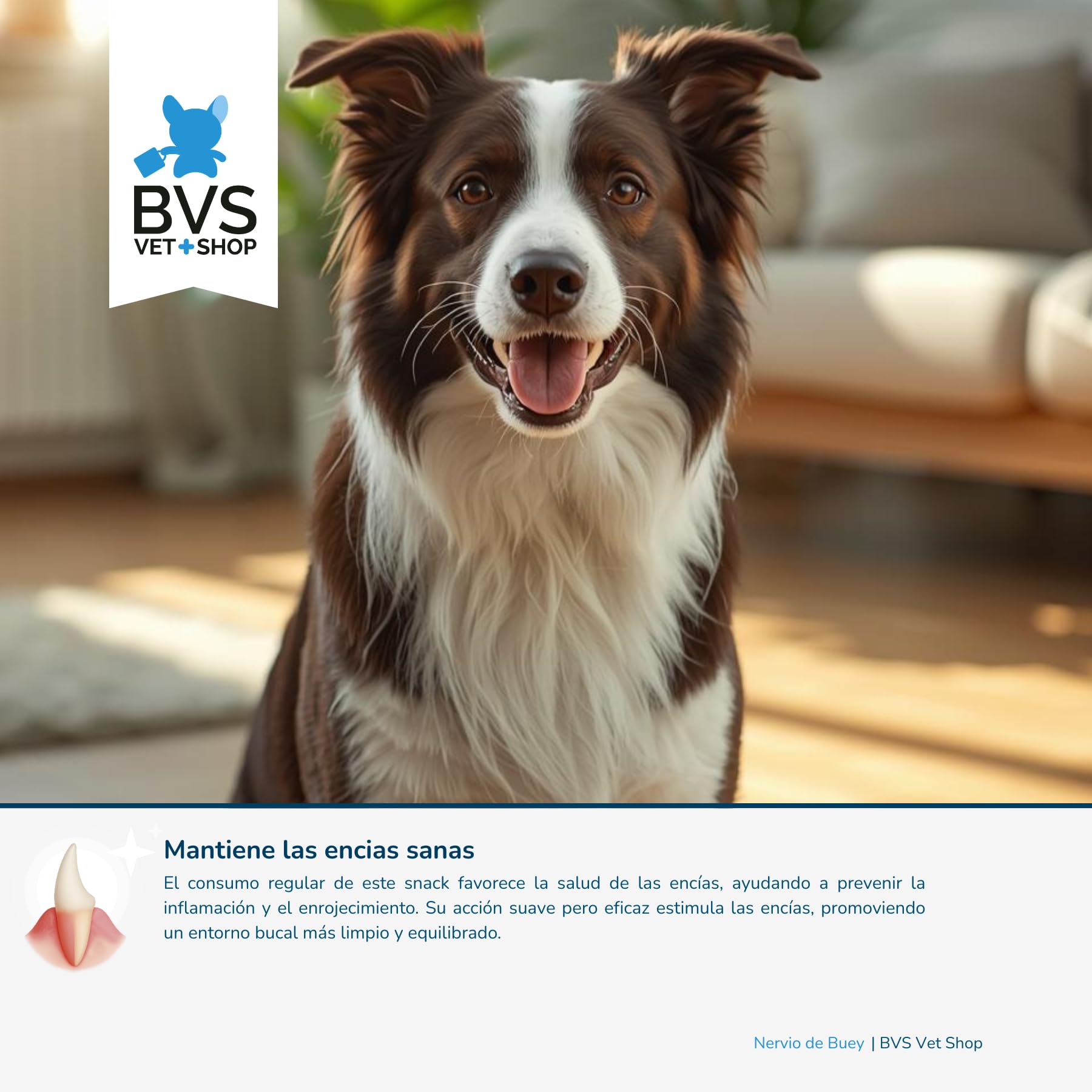 BVS Vet Shop | 12 cm di tenerezza di manzo per cani | Snack 100% naturale senza conservanti né coloranti | Tenerezza di manzo | 6 unità