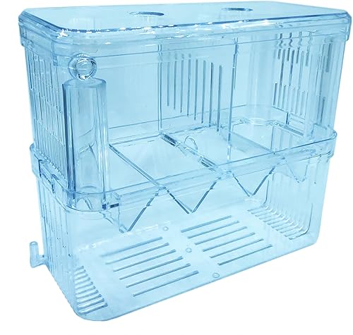 J-star Caja de criador de peces extragrande, caja de criador de acuario acrílico, caja de aislamiento de peces para Betta, Guppy, Killifish,