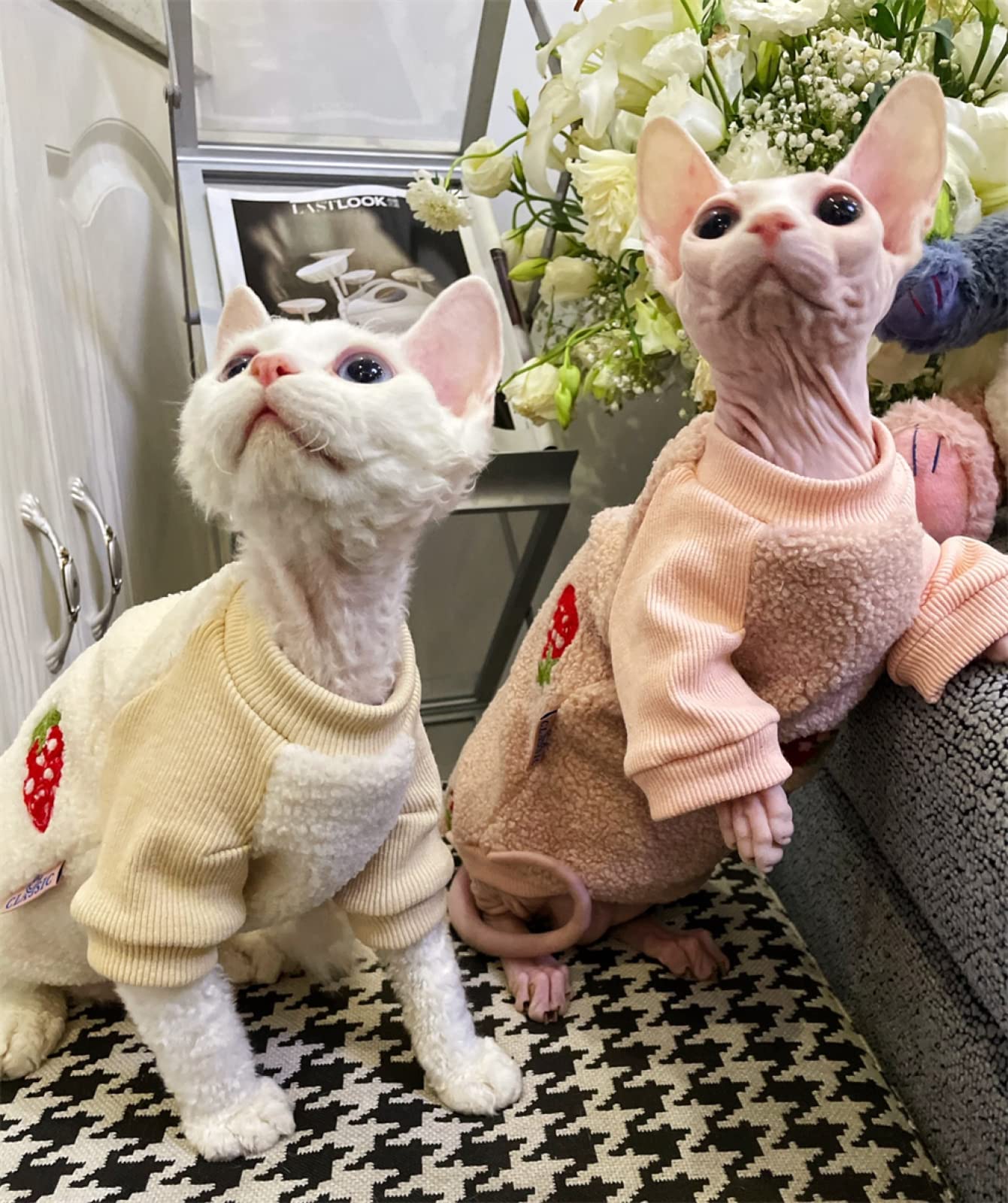 DUOMASUMI Katzenkleidung Für Haarlose Katzen – Gefüttert Mit Fleece, Kapuzenpulli, Größe XXL