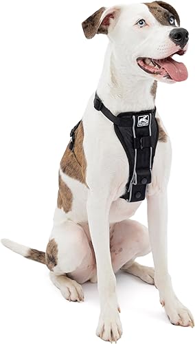 Kurgo Tru-Fit - Arnés inteligente para caminar para perros, ajuste cómodo, arnés ajustable, ropa reflectante para mascotas, liberación rápida de