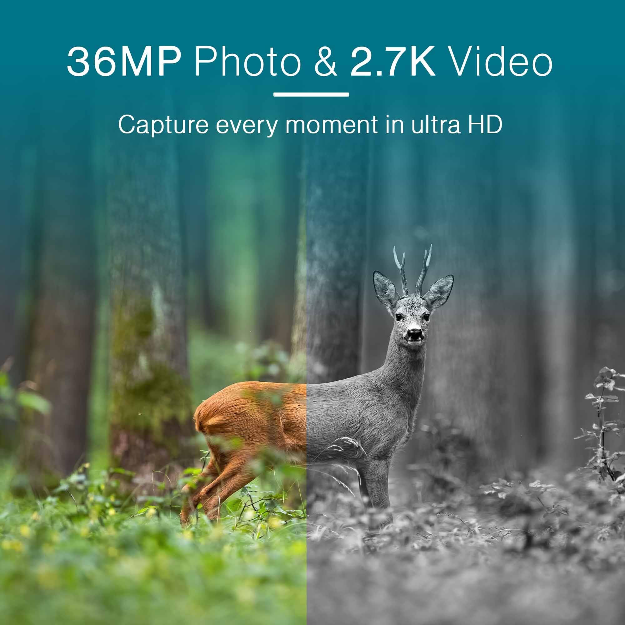 Wildkamera, IP66, Wildtierkamera, 2.7K Video mit Ton, 36MP Fotos, Nachtsicht 18 m, Auslösezeit 0,3 s, Fotofalle, Tierkamera, Infrarot Nachtsicht, mit Nachtsicht, Wildtierkamera