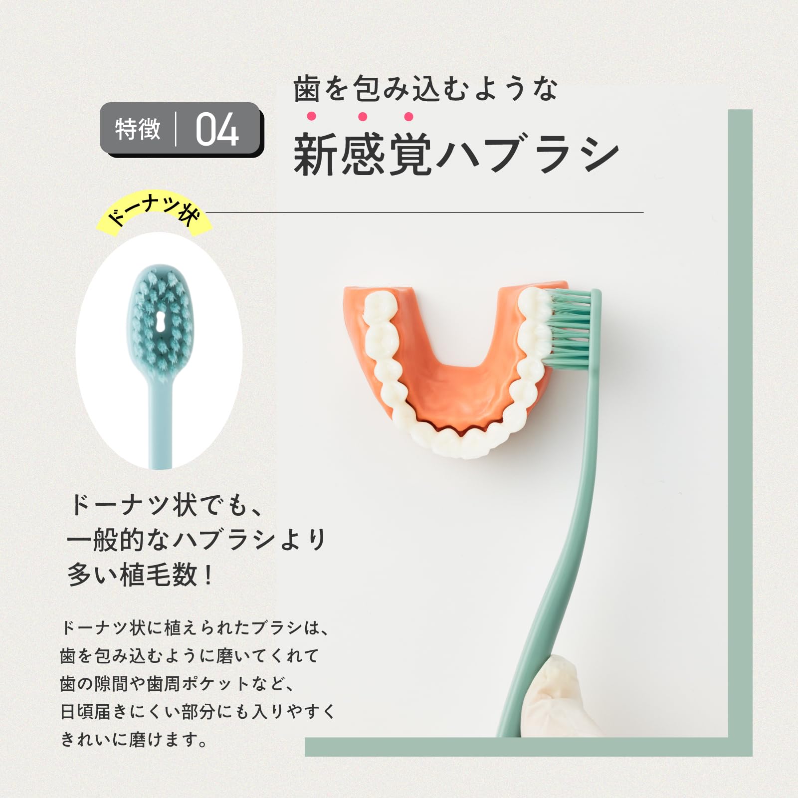 Amazon.co.jp: 奥歯のウラまで磨きやすい歯ブラシ｜穴あき効果で乾燥を
