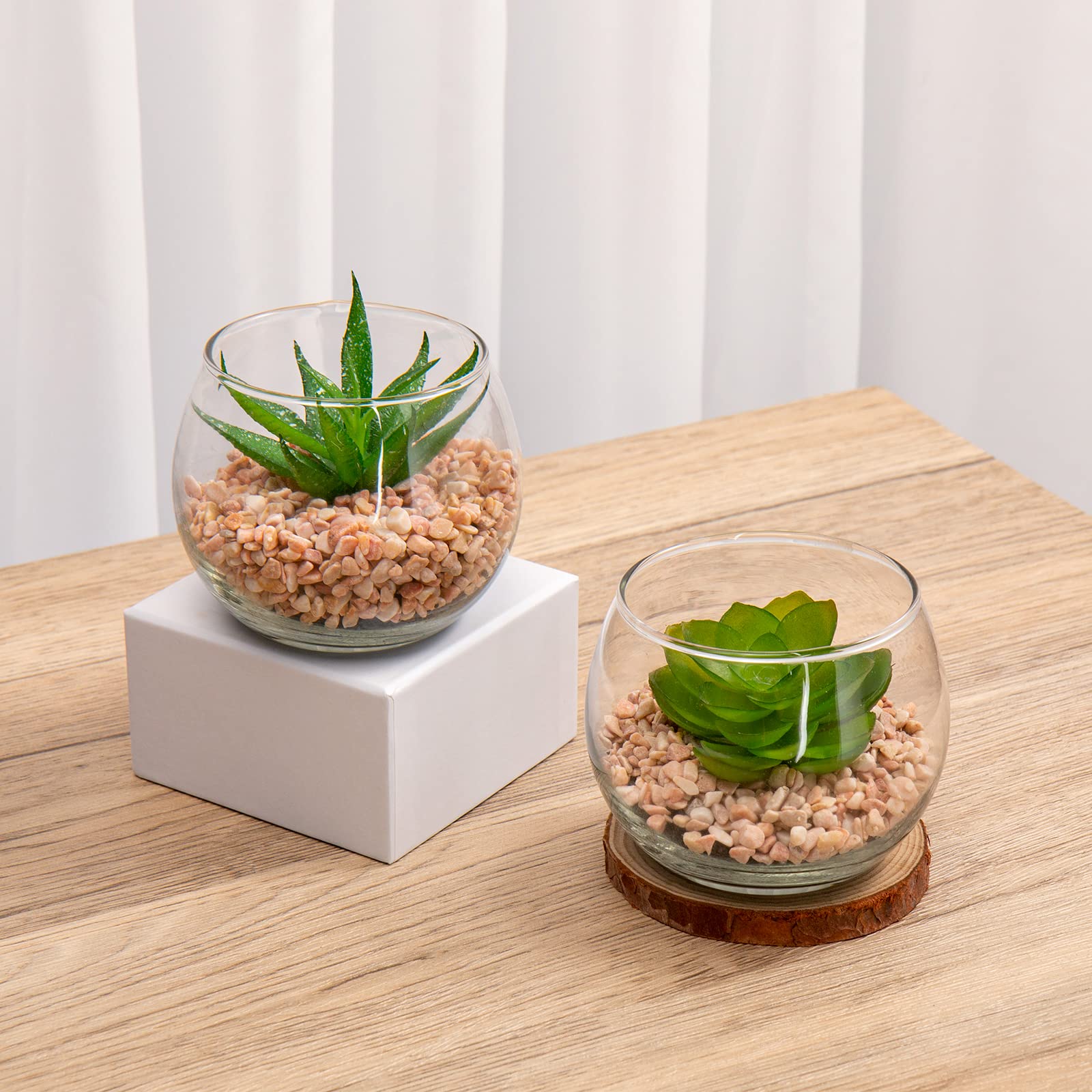 Amazon.com: Briful Mini Fake Plants 4 Packs Cute Succulents Artificial  Plants Potted Faux Succulents in Round Glass Vase for Bathroom Living Room  Kitchen Shelf Table Decor : Home & Kitchen