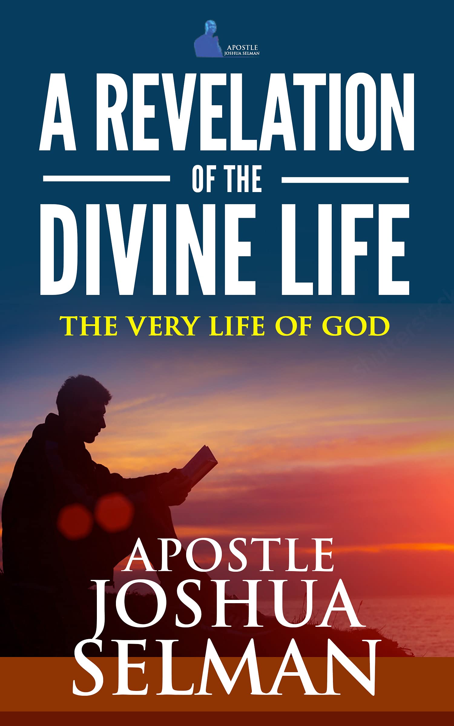 A Revelation Of The Divine Life: The Very Life Of God: Hosting God