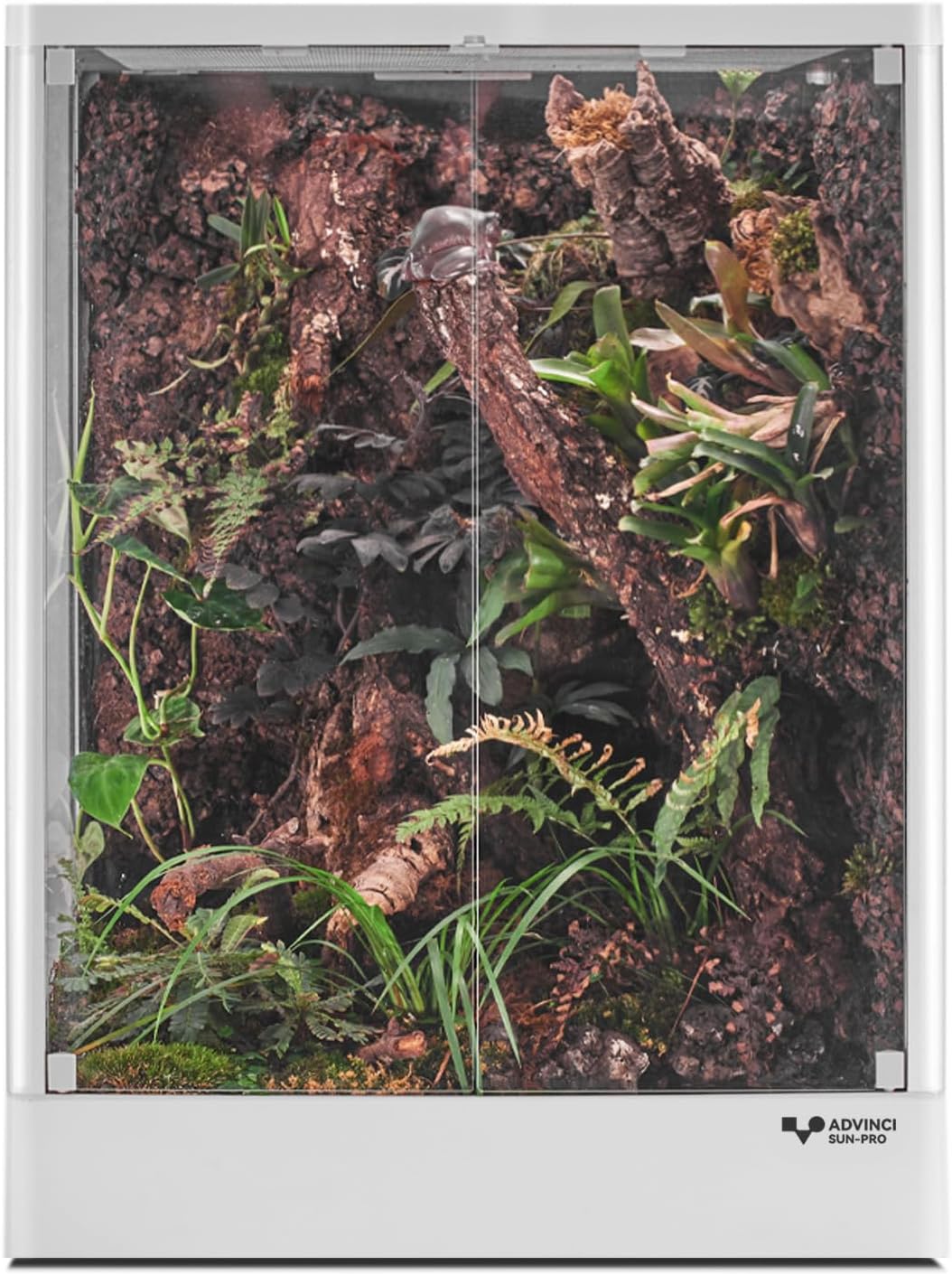 Your Next Great Find Starts Here!