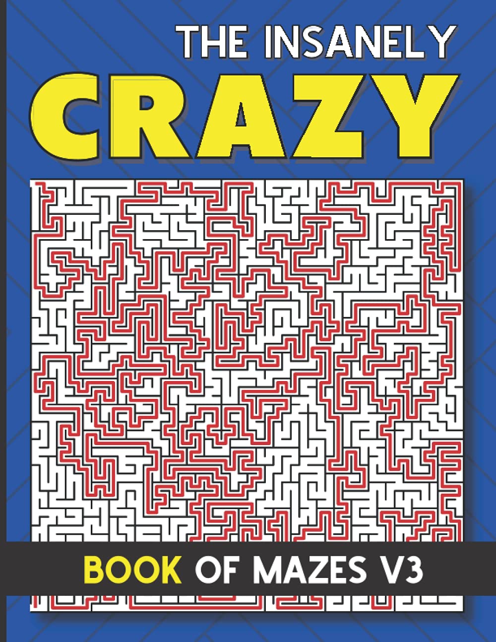 Maze Book for Kids 8-12: The Insanely Crazy Book of Mazes V3