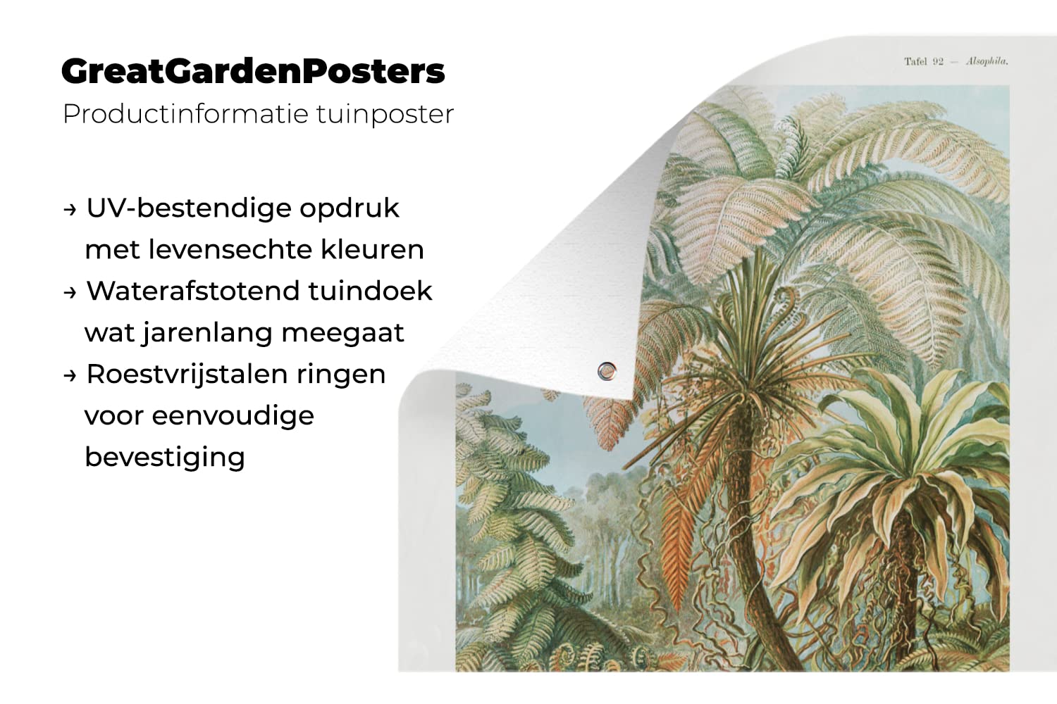 Outdoor-Poster „The Gust“ – 40x60 Cm, Wetterfest, UV-beständig Für Garten, Zaun, Balkon