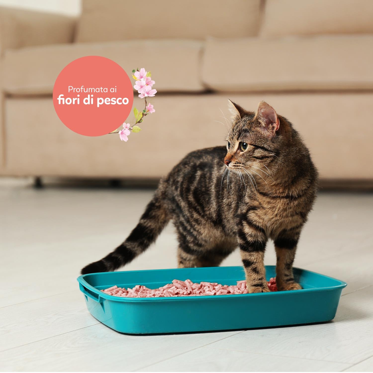 AqpetFriends Lettiera CattyGreen Sabbia per Gatti alla Soia Naturale di origine Vegetale profumazione alla Pesca (Confezione da 4)