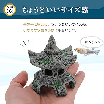 アボガドサーモンさま　天体オブジェ、小物入れ アボガドサーモンさま 天体オブジェ、小物入れ Amazon.co.jp