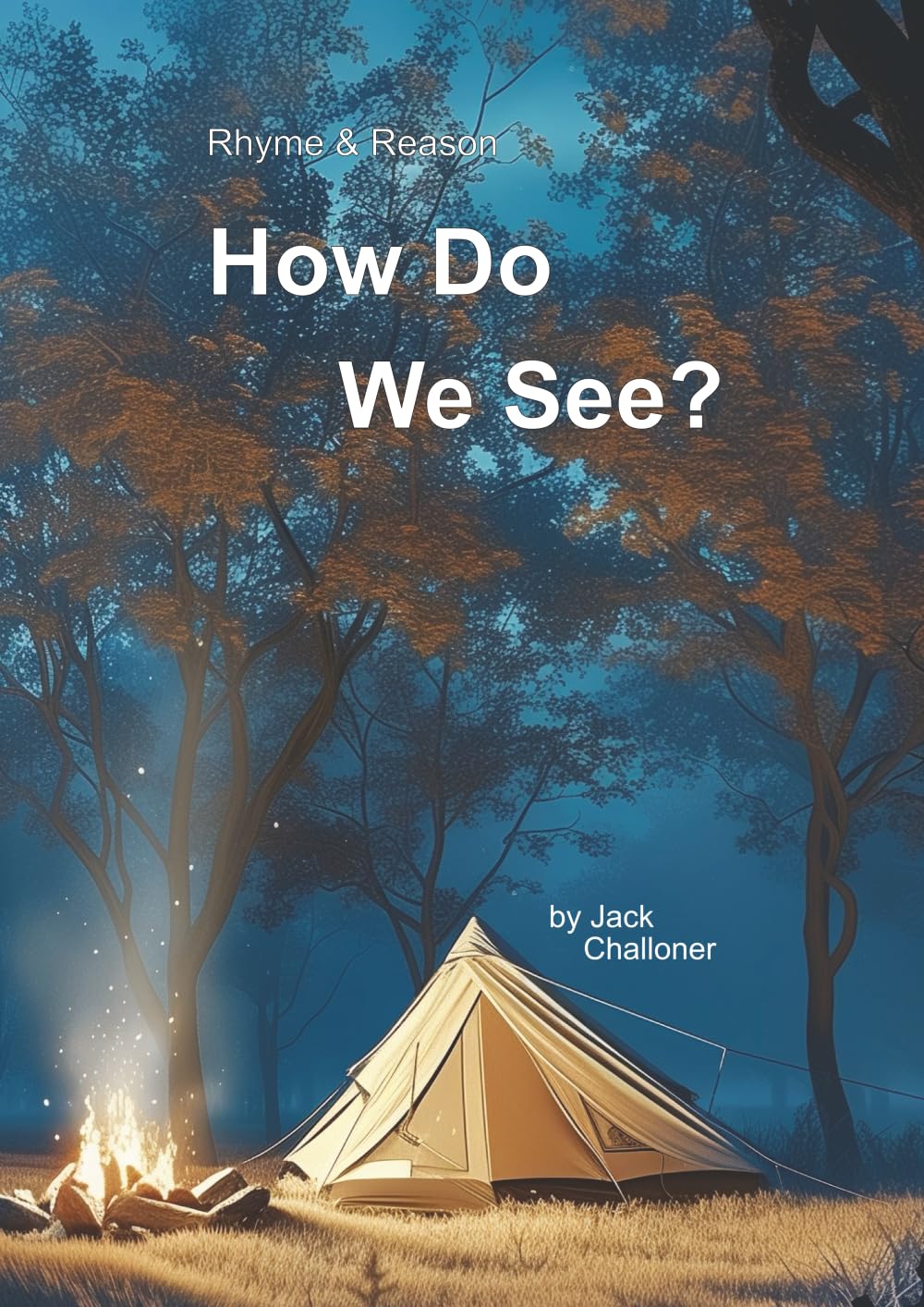 Rhyme & Reason: How Do We See?