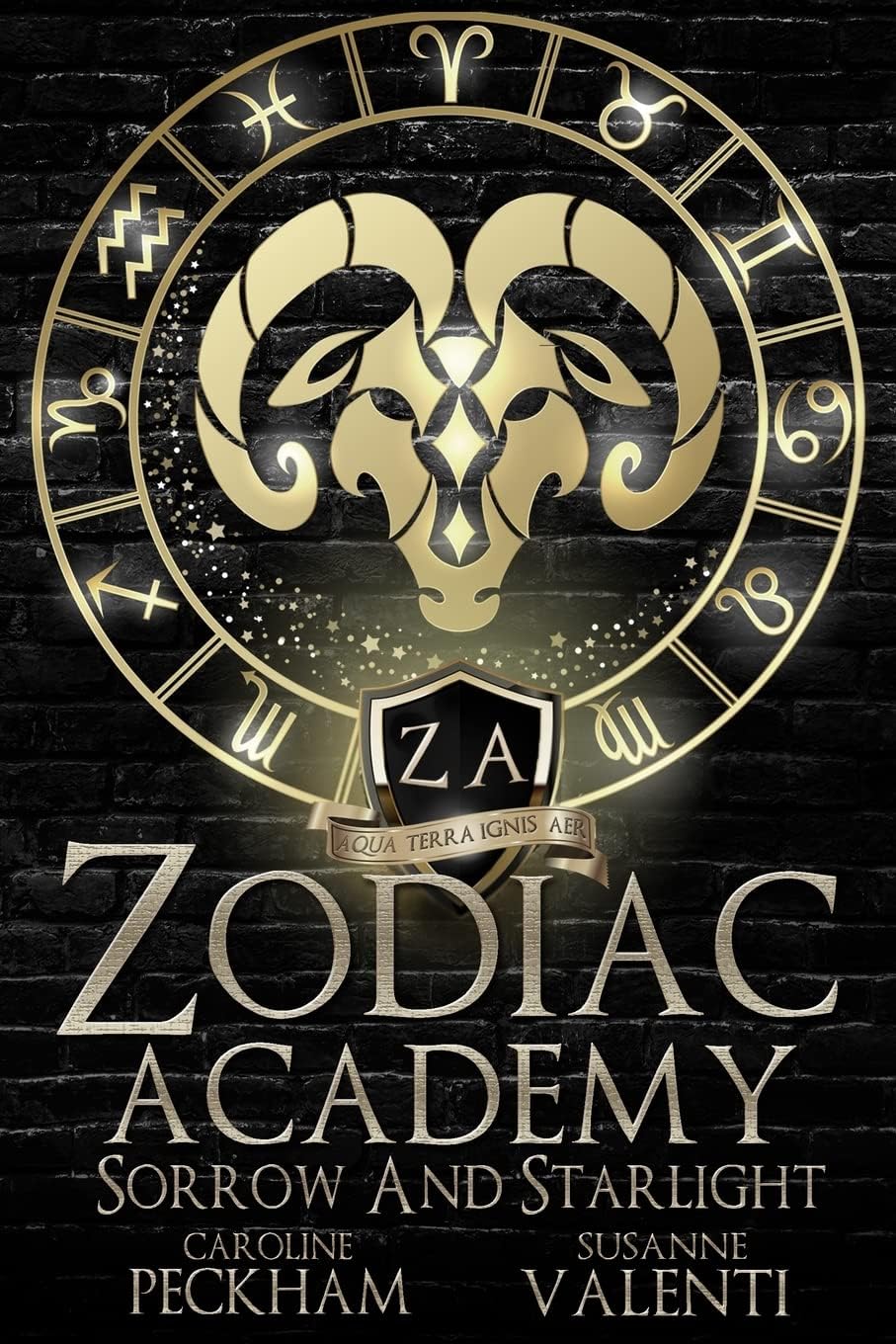 Zodiac Academy 8: Sorrow and Starlight
