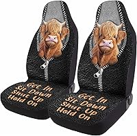 Vista 25 de Horror Nightmare Skellington - 2 fundas de asiento delantero para automóvil, camión, SUV, regalos de Navidad, funda de asiento de cubo duradera, 03.