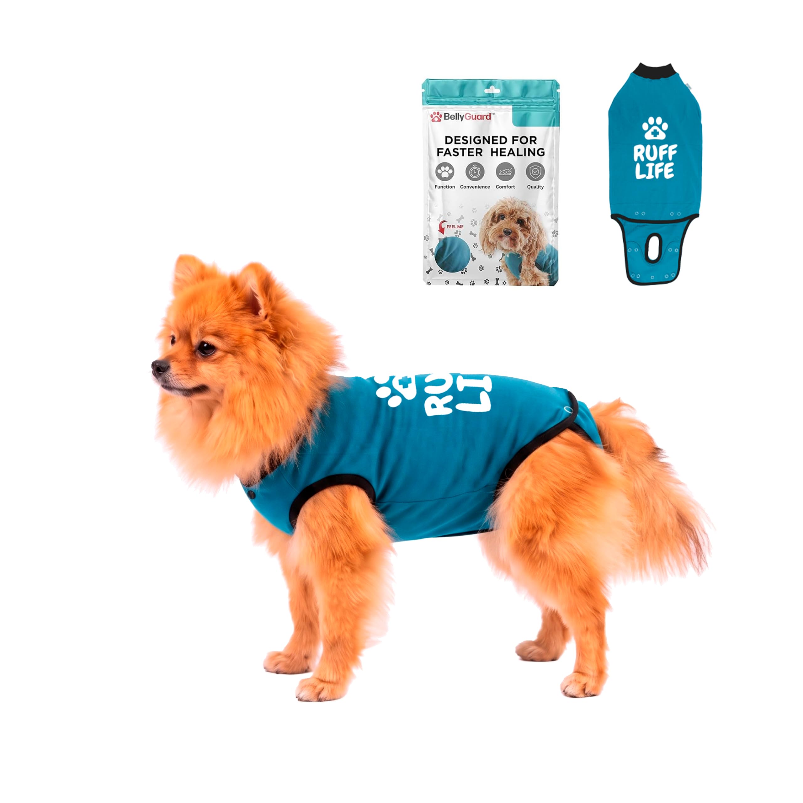 BellyGuard Dog Surgery Recovery Suit, Male Female After Spay Neuter Onesie