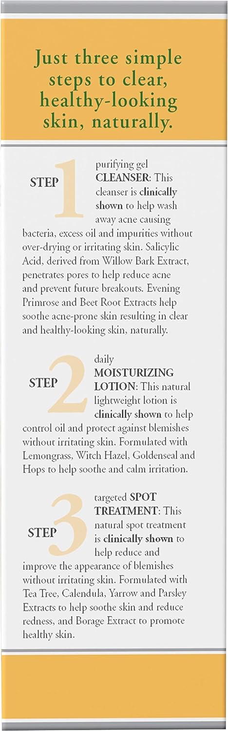 Burt’s Bees Natural Acne Solutions 3 Step Regimen Kit for Oily Skin, Cleanser, Moisturizing Lotion, Spot Treatment