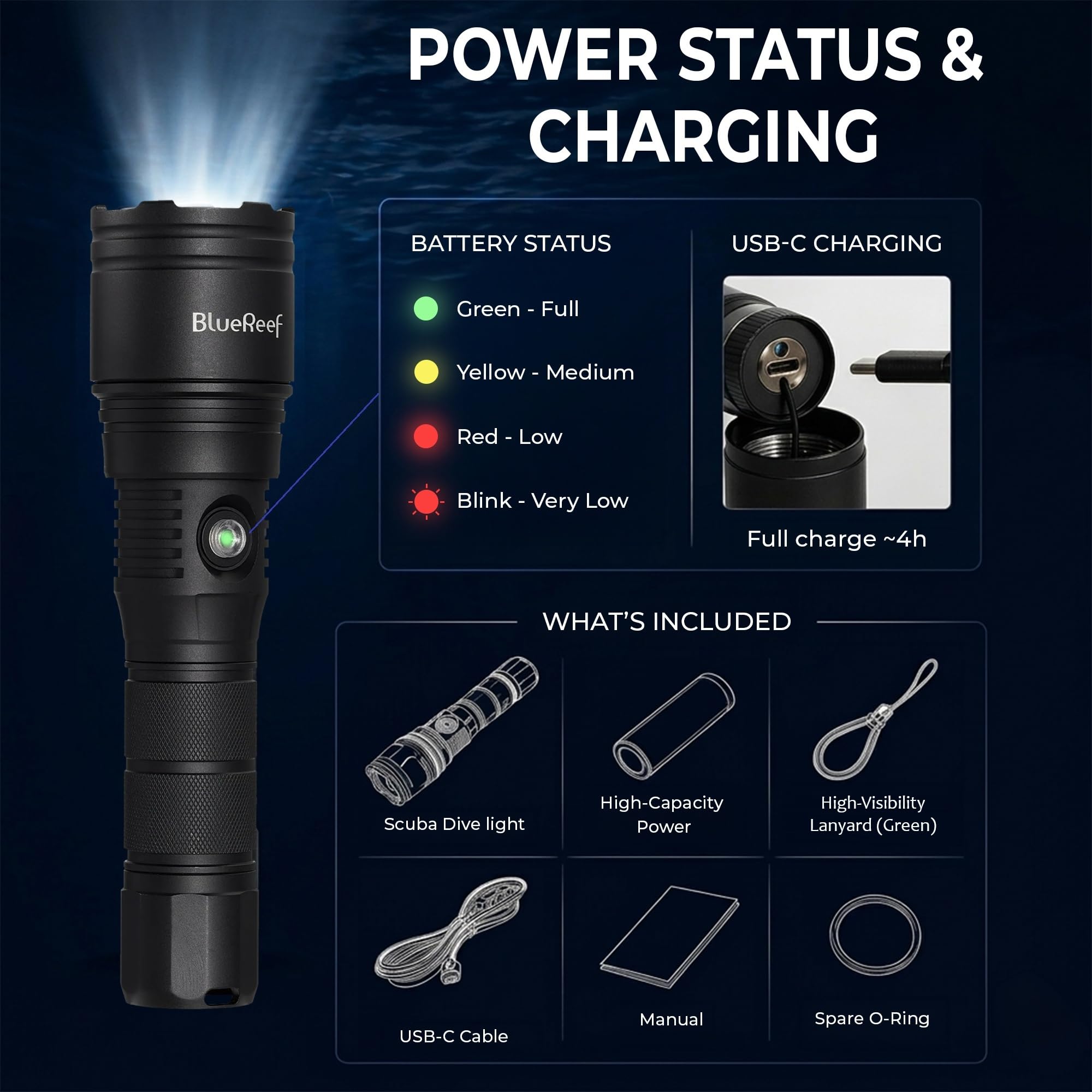 Amazon.com: Blue Reef 2000 Lumens Scuba Dive Light, Up to 4Hr Runtime, 2Hr  Burn Time at Full 2000LM Output, 390m Long-Range Beam  100m Waterproof  USB-C Rechargeable Diving Flashlight for Scuba &