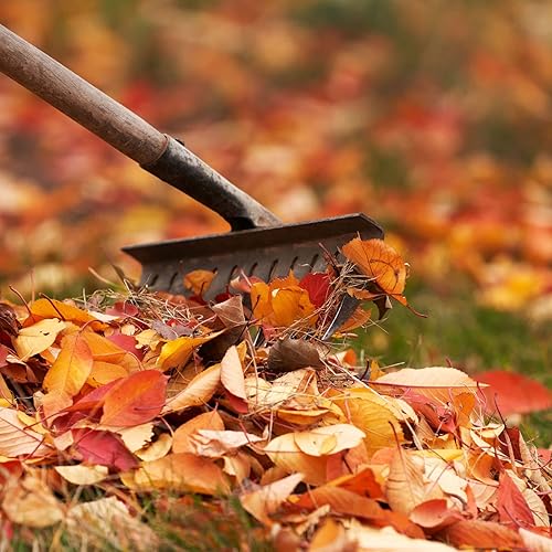 Miniatura 6 de uxcell Rastrillo de jardín de 7 dientes, rastrillo de piedra de acero al manganeso galvanizado para jardín, granja, patio trasero, sin mango, solo