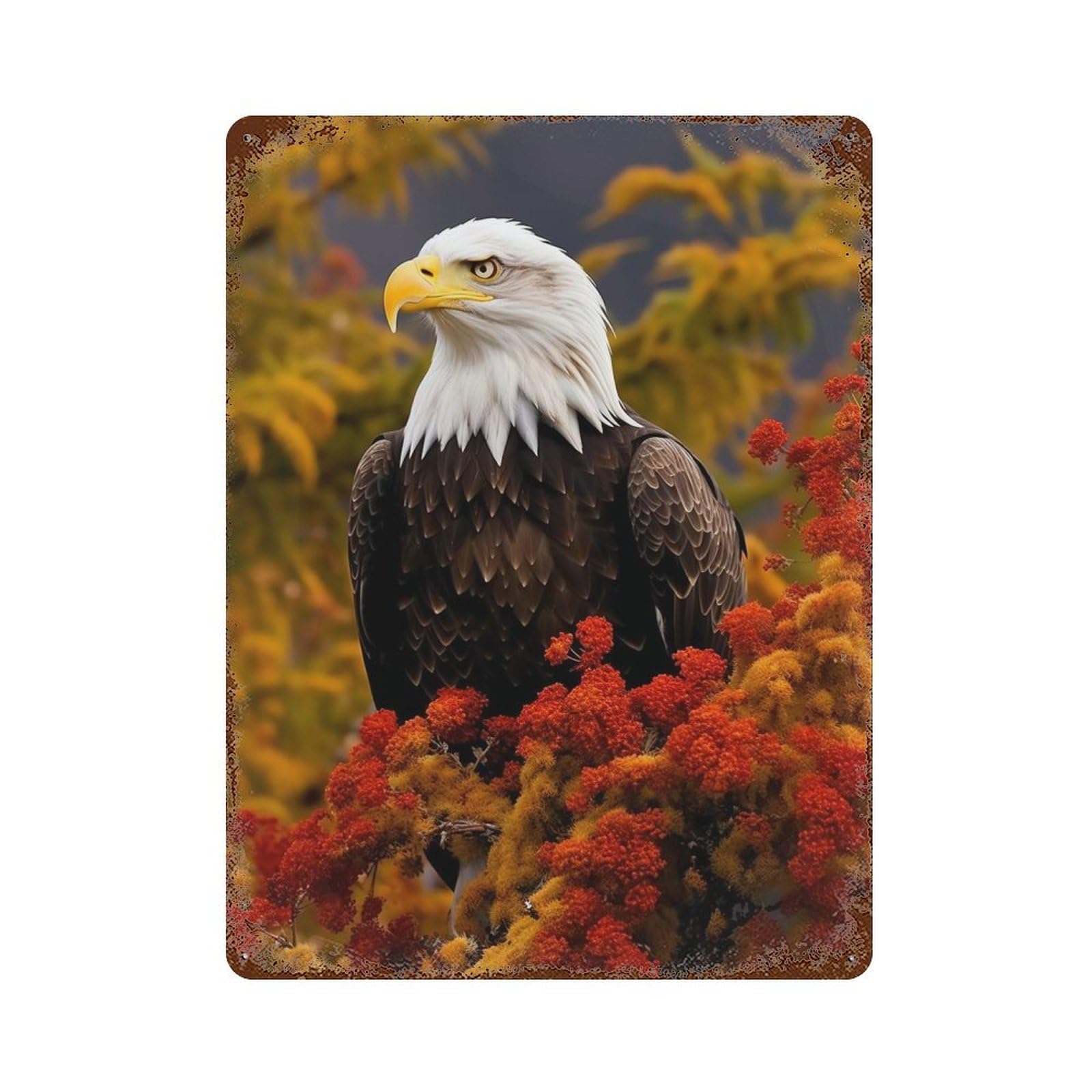 Decorative Tin Sign with Bald Eagle Design 15.7"x11.8", for Farmhouse, Kitchen And Entryway Decor, Decorative Metal Wall Art