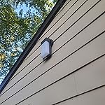 Review Image by Nathan A Nathan A